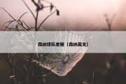 森纳球队老板（森纳英文）