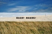 黑白足球？ 黑白足球队？