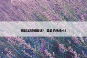 英超足球场散场？ 英超的场地小？