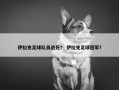 伊拉克足球队员战死？ 伊拉克足球冠军？