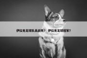 伊拉克足球队员战死？ 伊拉克足球冠军？