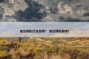 波兰球队打法怎样？ 波兰球队如何？