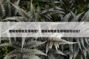 诸城有哪些足球场馆？ 诸城有哪些足球场馆可以玩？