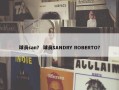 球员san？ 球员SANDRY ROBERTO？