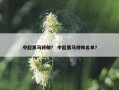 中超黑马将帅？ 中超黑马将帅名单？