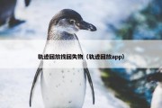 轨迹回放找回失物（轨迹回放app）