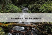 皮尔洛皇马时期，皮尔洛效力过的球队