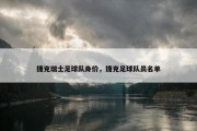 捷克瑞士足球队身价，捷克足球队员名单