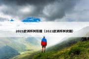2021欧洲杯树形图（2021欧洲杯树状图）