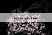 你喜欢球队，你喜欢哪只球队