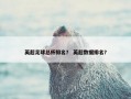英超足球总杯排名？ 英超数据排名？