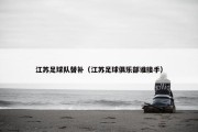 江苏足球队替补（江苏足球俱乐部谁接手）