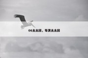 06太太团，导演太太团