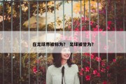 在足球界被称为？ 足球被誉为？
