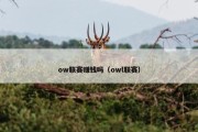 ow联赛赚钱吗（owl联赛）