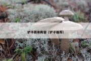 铲子简单阵容（铲子推荐）