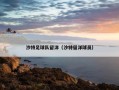 沙特足球队留洋（沙特留洋球员）