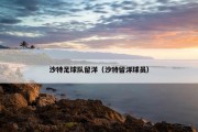 沙特足球队留洋（沙特留洋球员）