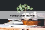 拜仁球迷为什么叫迷？ 拜仁的球迷？