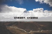 红叶阵容新手，红叶副本阵容