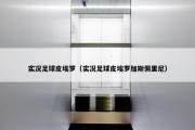 实况足球皮埃罗（实况足球皮埃罗加斯佩里尼）