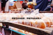 伊丽莎白来曼联，伊丽莎白的接班人