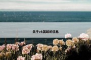 关于vk英超的信息