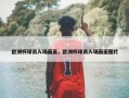 欧洲杯球员入场画面，欧洲杯球员入场画面图片