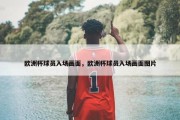 欧洲杯球员入场画面，欧洲杯球员入场画面图片