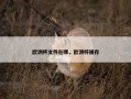 欧洲杯文件在哪，欧洲杯缓存