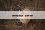 欧洲杯文件在哪，欧洲杯缓存