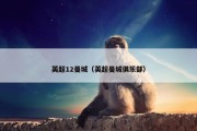 英超12曼城（英超曼城俱乐部）