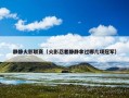 静静火影联赛（火影忍者静静拿过哪几项冠军）