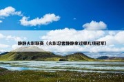 静静火影联赛（火影忍者静静拿过哪几项冠军）