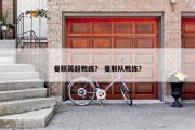 曼联英超教练？ 曼联队教练？