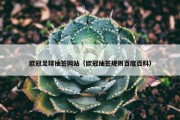 欧冠足球抽签网站（欧冠抽签规则百度百科）