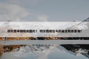 切尔西早期教练图片？ 切尔西现任与历届主教练是谁？