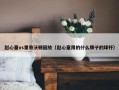 赵心童vs里奇沃顿回放（赵心童用的什么牌子的球杆）