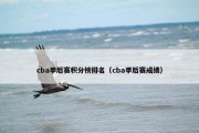 cba季后赛积分榜排名（cba季后赛成绩）