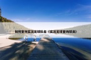 如何查询实况足球队名（实况足球查询球员）