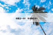 卡西之一次？ 卡卡西之子？