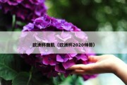 欧洲杯腹肌（欧洲杯2020帅哥）