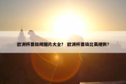欧洲杯晋级规图片大全？ 欧洲杯晋级比赛规则？
