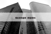 粉红球衣篮球（粉蓝球衣）