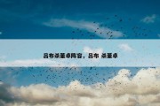 吕布杀董卓阵容，吕布 杀董卓