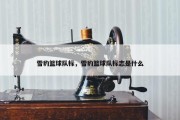 雪豹篮球队标，雪豹篮球队标志是什么
