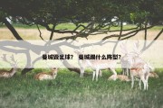 曼城毁足球？ 曼城踢什么阵型？