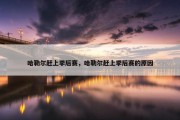 哈勒尔赶上季后赛，哈勒尔赶上季后赛的原因