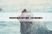所有切尔西战士帅气图片（切尔西的图片）