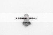 西瓜看球曼联？ 西瓜nba？